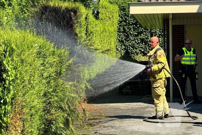 Coniferenhaag bij woning in brand