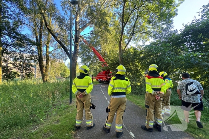 Brandweer ingezet voor dreigend hangende tak