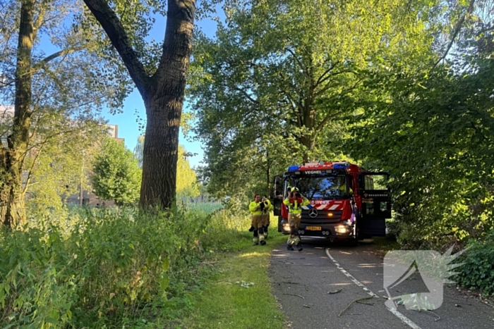 Brandweer ingezet voor dreigend hangende tak