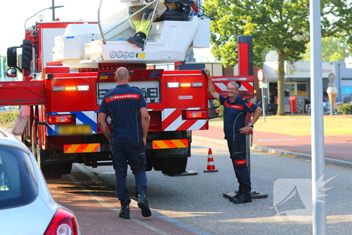 Brandweer weet kat van dak te halen