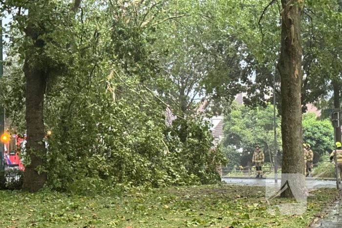 Brandweer druk met stormschade