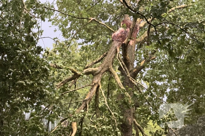 Brandweer druk met stormschade