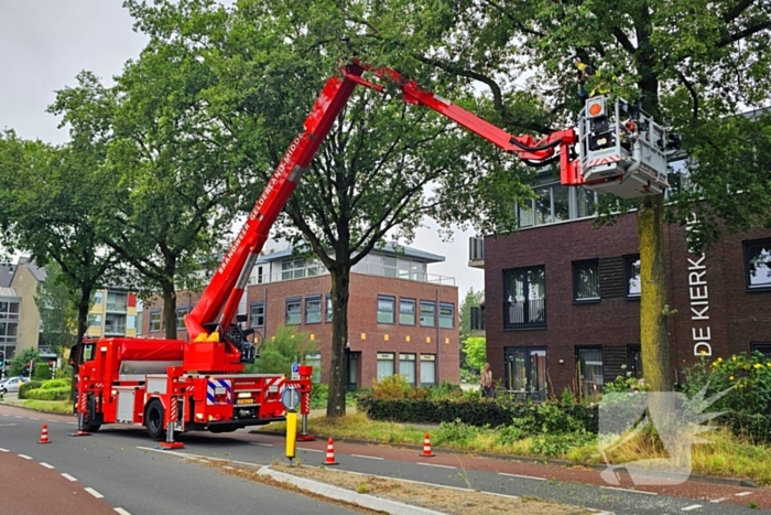 Brandweer verwijdert gevaarlijk hangende tak