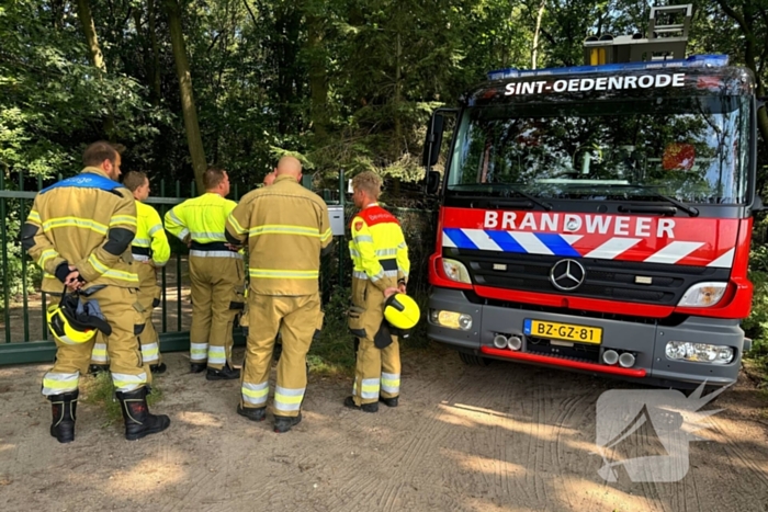 Bosbrand snel onder controle