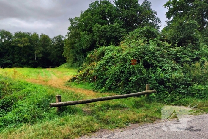 Bos afgesloten tijdens politieonderzoek