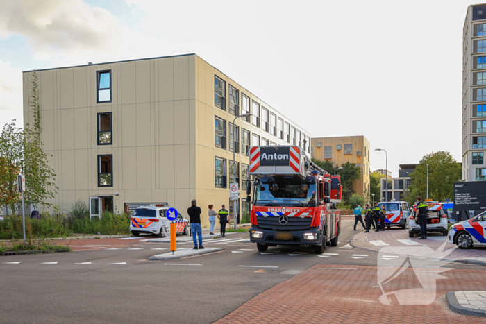 Hondengeleider overmeesterd persoon met onbegrepen gedrag