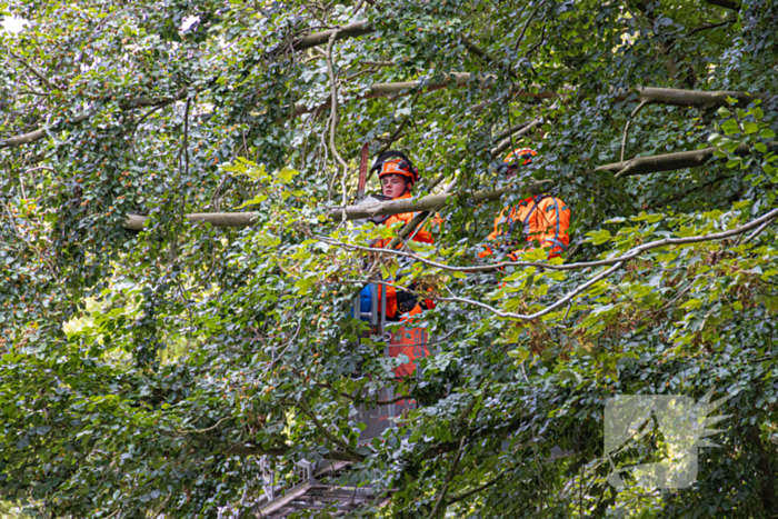 Brandweer in actie voor laaghangende tak