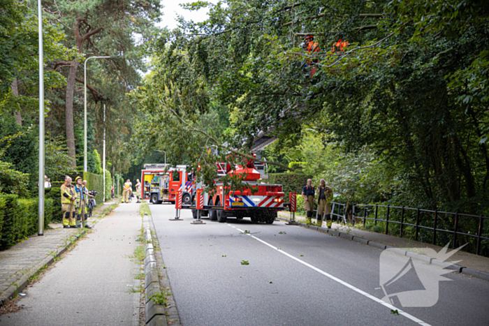 Brandweer in actie voor laaghangende tak