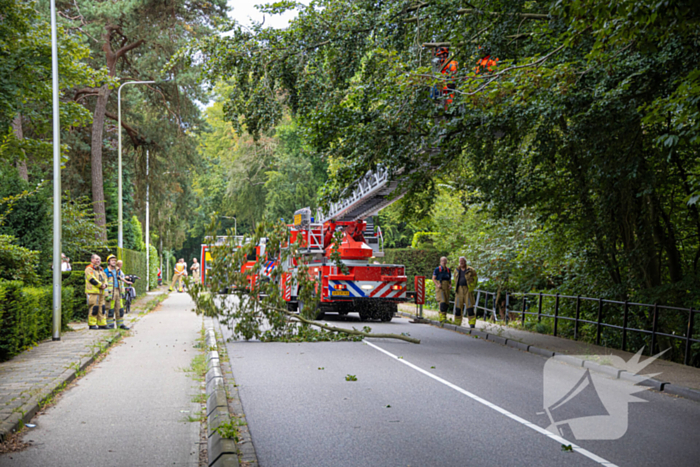 Brandweer in actie voor laaghangende tak