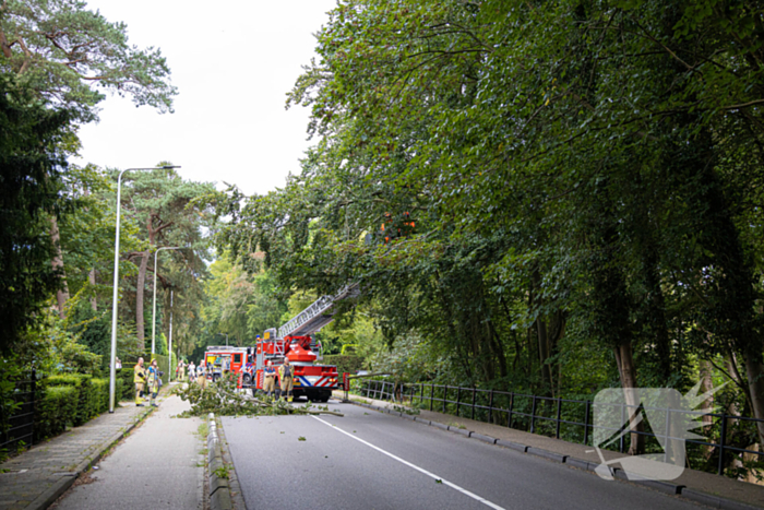 Brandweer in actie voor laaghangende tak