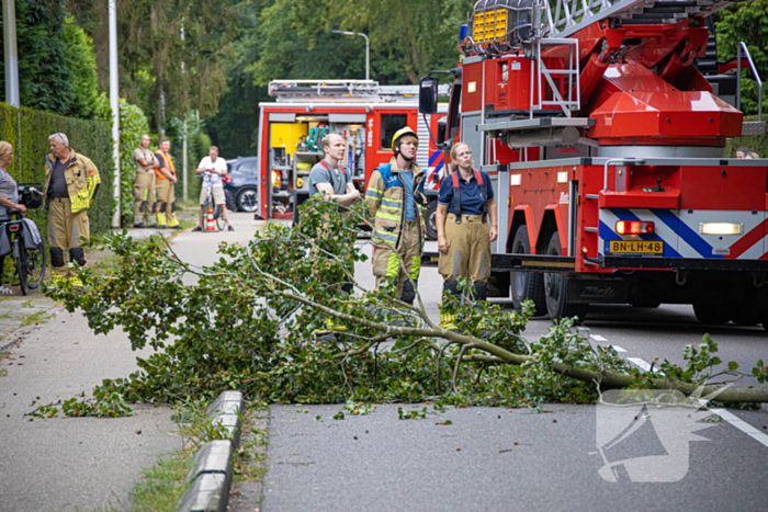 Brandweer in actie voor laaghangende tak