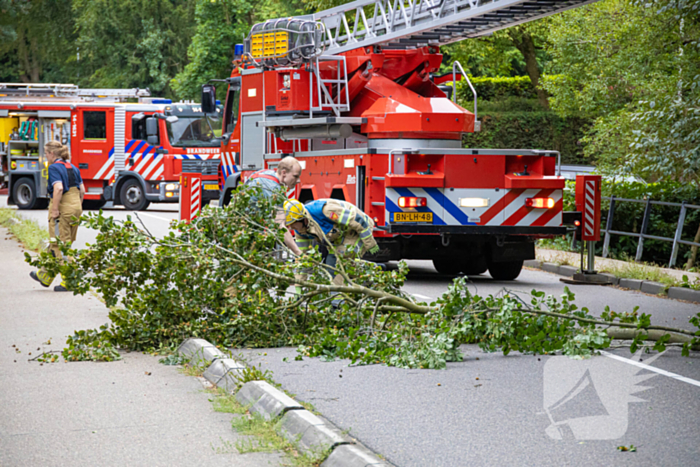 Brandweer in actie voor laaghangende tak