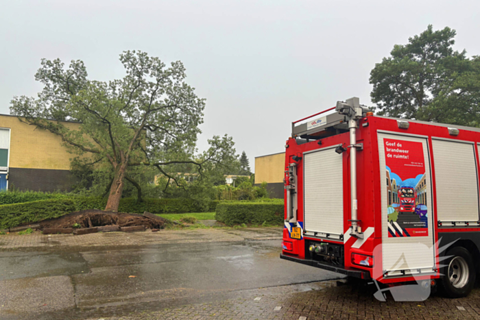 Boom valt op woning, situatie veilig