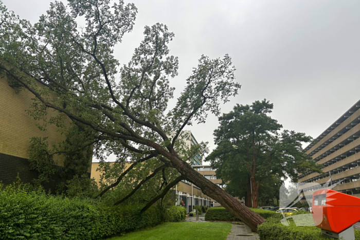 Boom valt op woning, situatie veilig