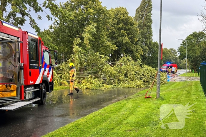 Weg verspert door omgevallen boom