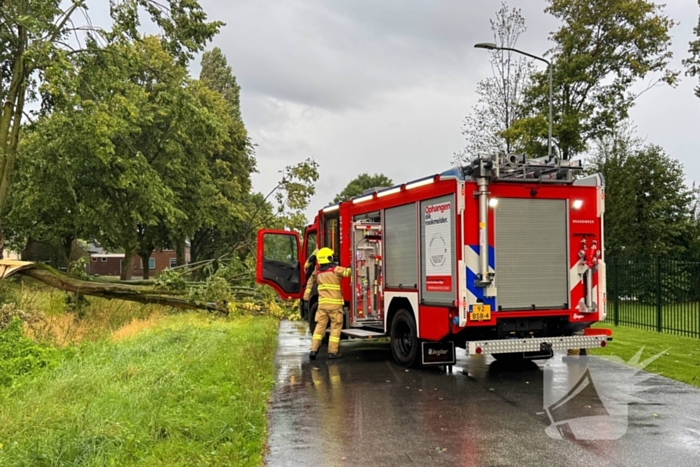 Weg verspert door omgevallen boom