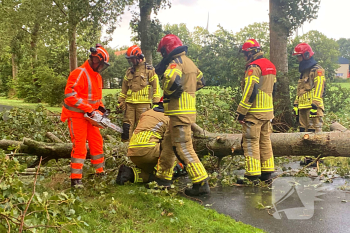 Brandweer zaagt omgewaaide boom in stukken