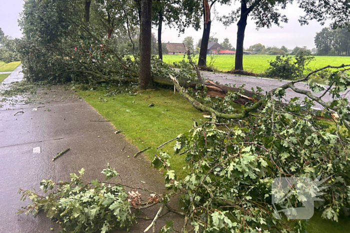 Brandweer druk met stormschade afhandelen