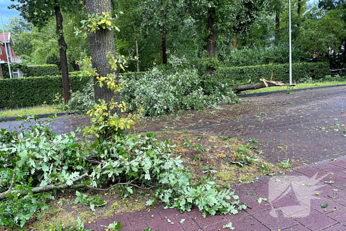 Boom breekt af en belandt naast weg