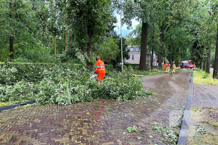 Boom breekt af en belandt naast weg