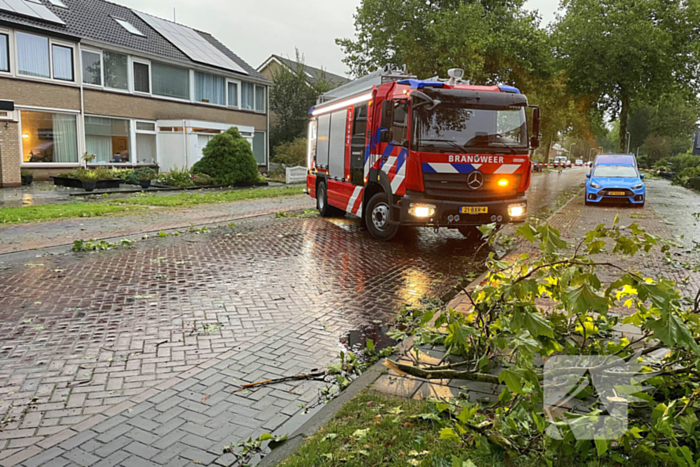 Grote takken belanden op auto vlak voor woning