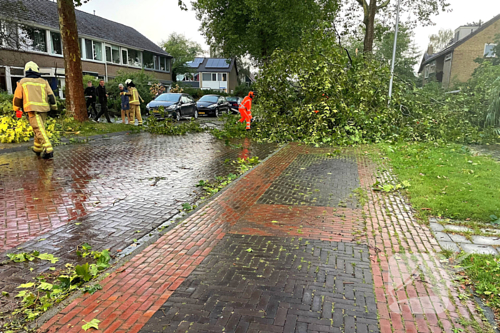 Grote takken belanden op auto vlak voor woning