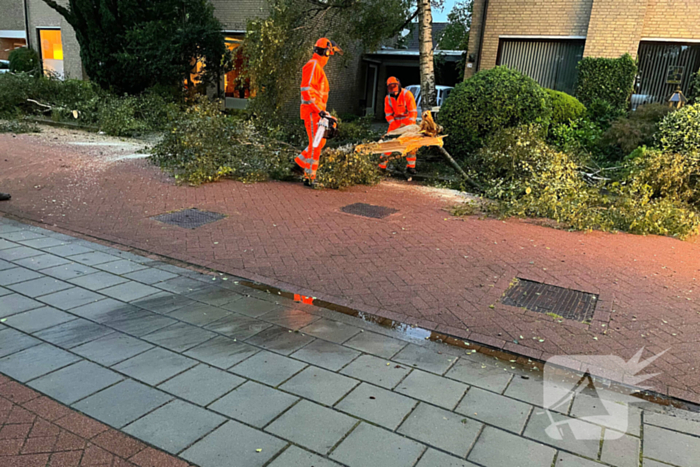 Ravage in straat door storm