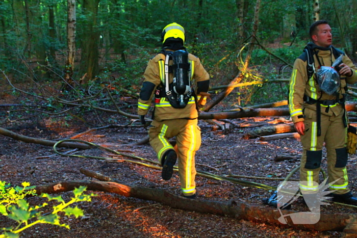 Brand in bos beperkt gebleven