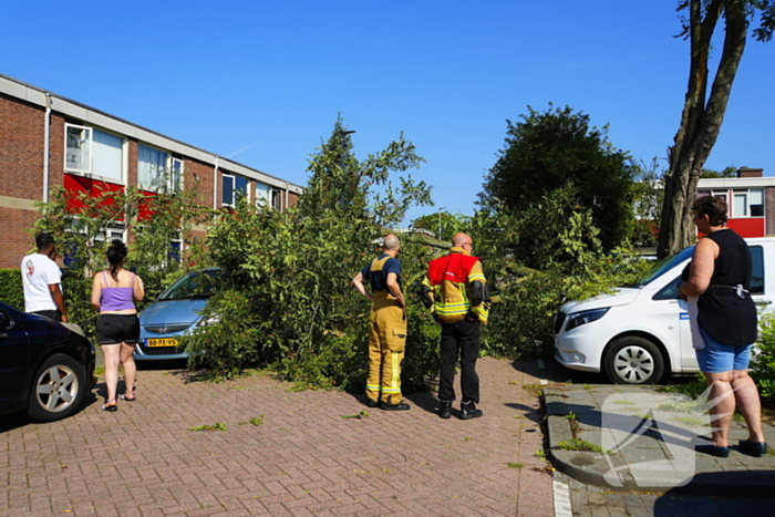 Dantestraat 112 melding Rotterdam 