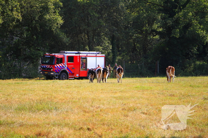 Diesterbaan 112 melding Weert 