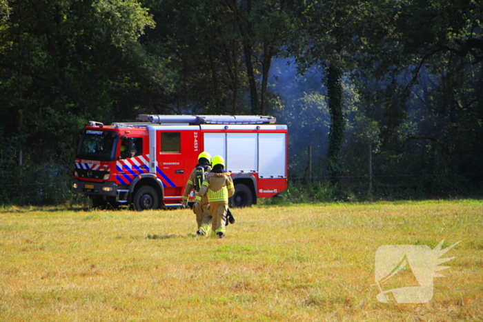 Koeien tonen interesse tijdens bluswerkzaamheden