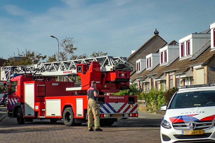 Deel woonwijk afgesloten nadat persoon op dak klimt