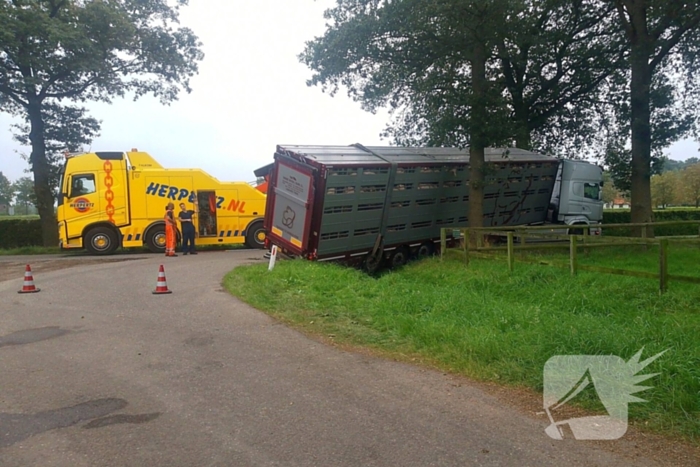 Vrachtwagen met biggen belandt in greppel