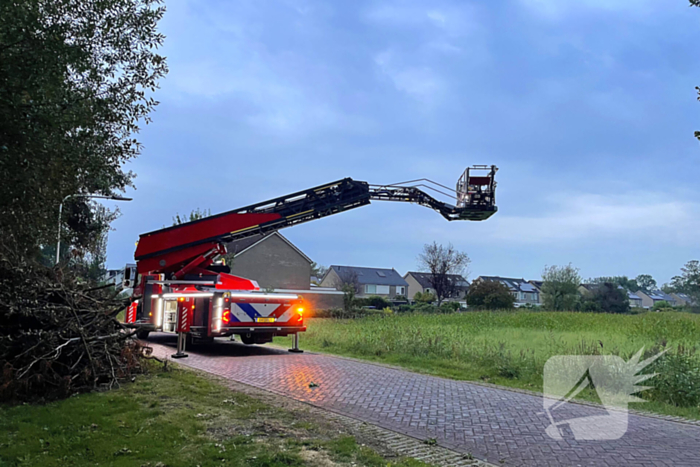 Gevaarlijk hangende tak dreigt te vallen