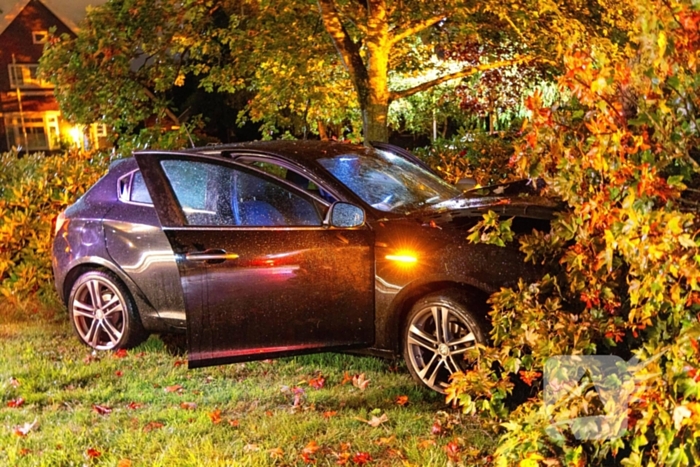 Boom doormidden nadat auto van weg raakt