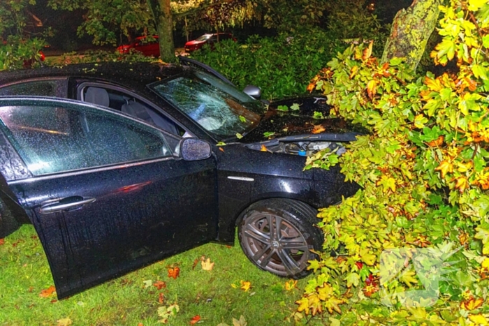 Boom doormidden nadat auto van weg raakt