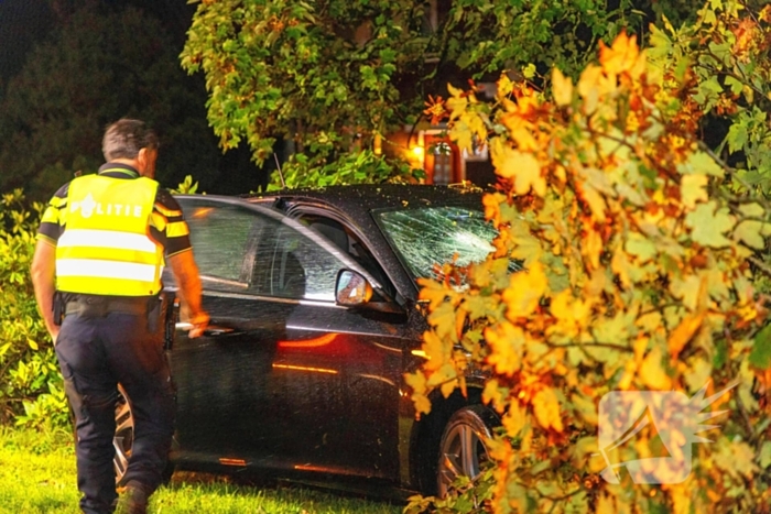 Boom doormidden nadat auto van weg raakt