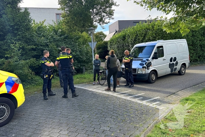 Scholiere en bestelbus met elkaar in botsing