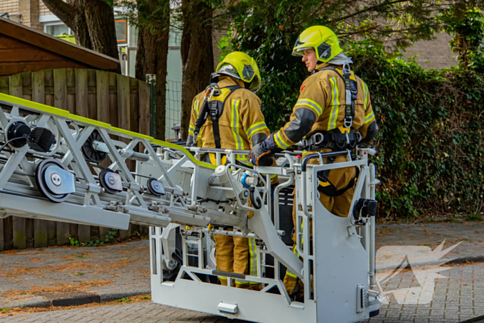 Buurt belt brandweer voor kat in de boom