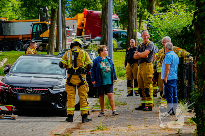 Buurt belt brandweer voor kat in de boom