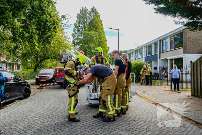 Buurt belt brandweer voor kat in de boom