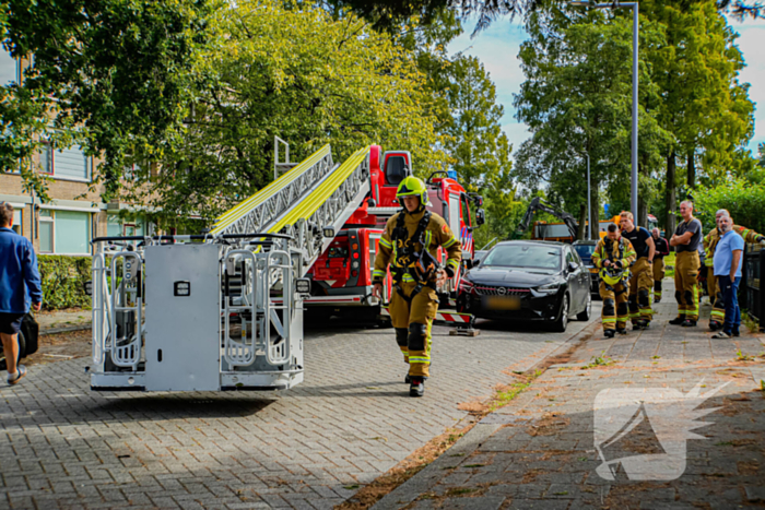 Buurt belt brandweer voor kat in de boom