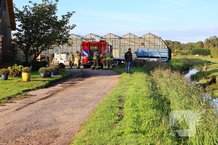 Paard gered uit modderige sloot na spannende reddingsactie