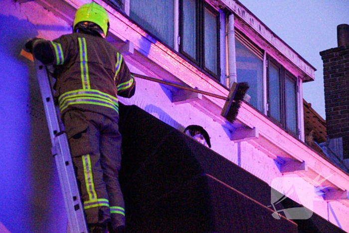 Brandweer druk met kat die op dak zit