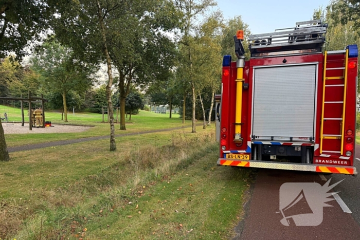 Jongedame in schommel uit benarde positie bevrijdt