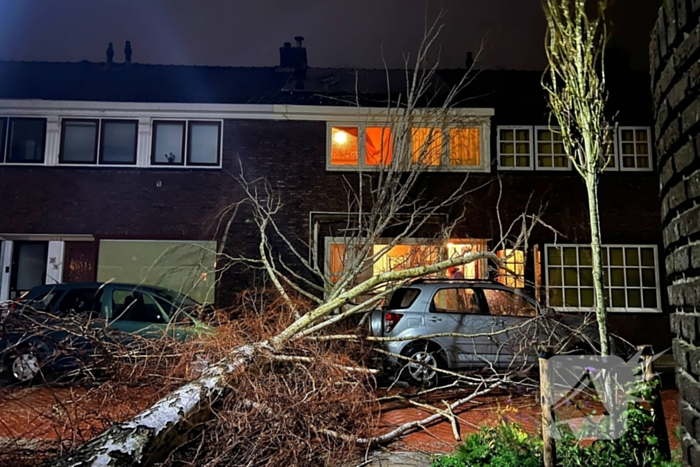 Boom valt op geparkeerde auto door sterke wind