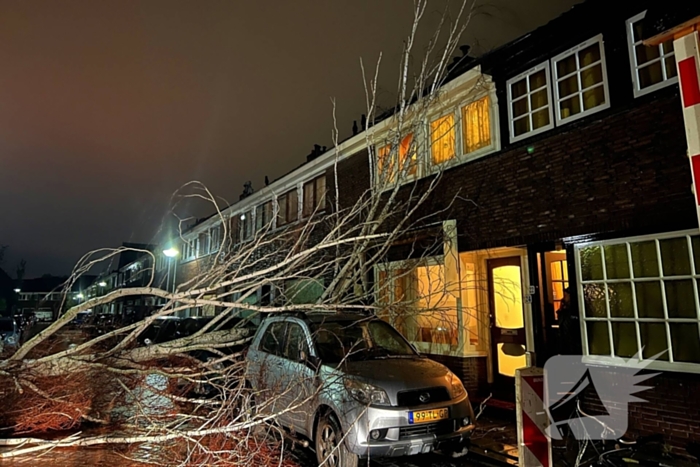 Boom valt op geparkeerde auto door sterke wind