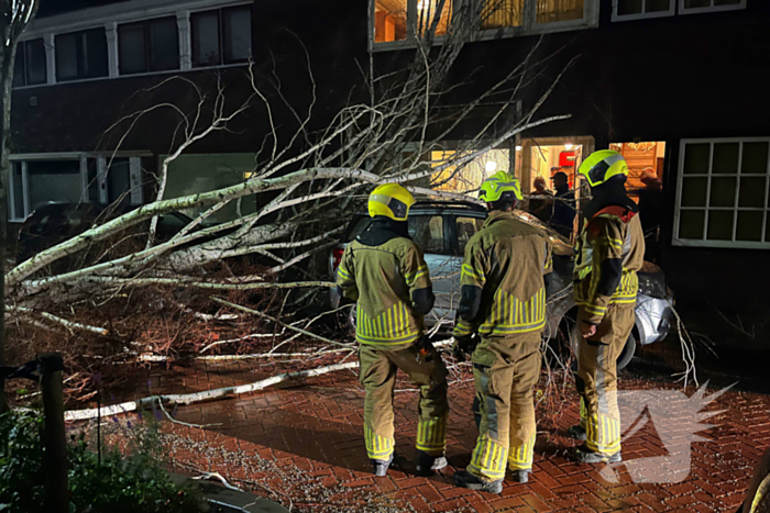 Boom valt op geparkeerde auto door sterke wind