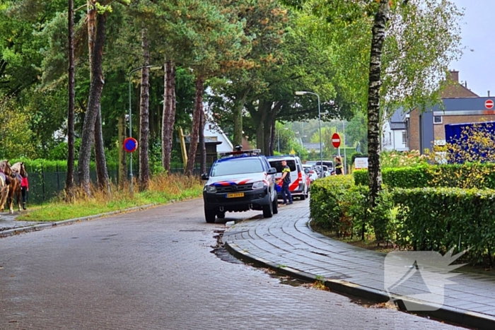 Politie massaal op zoek naar vermiste jongen