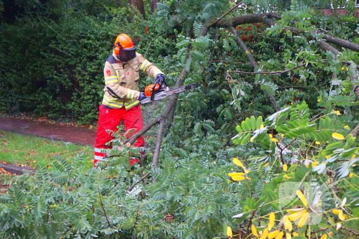 Brandweer verwijdert afgebroken tak van wegdek